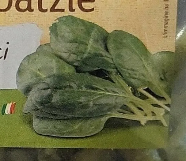 SPATZLE
