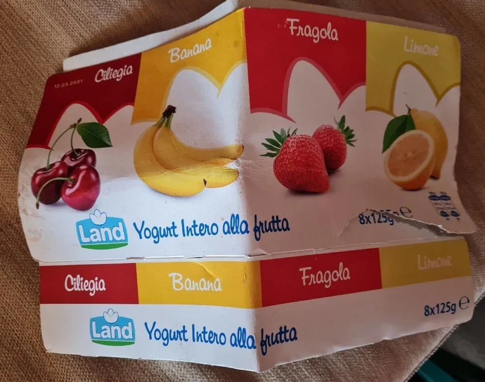 Yogurt Intero Alla Frutta