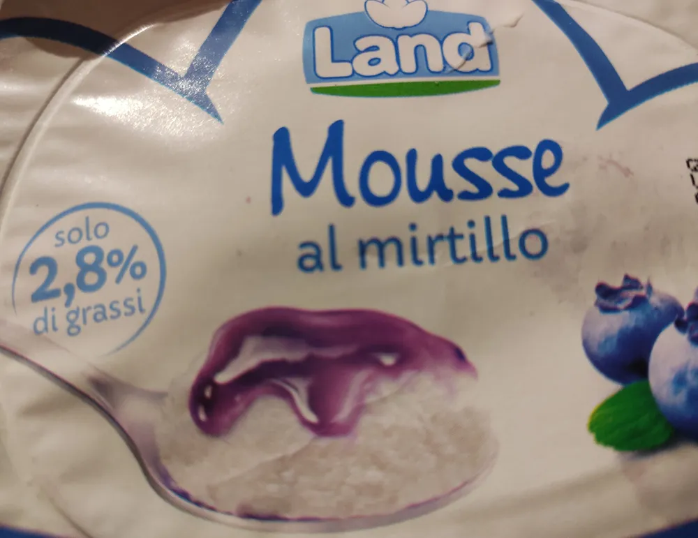 Mousse al mirtillo Land