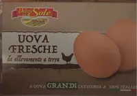 Uova fresche da allevamento a terra