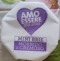 Mini brie senza lattosio
