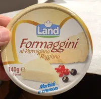 Formaggini al parmigiano reggiano