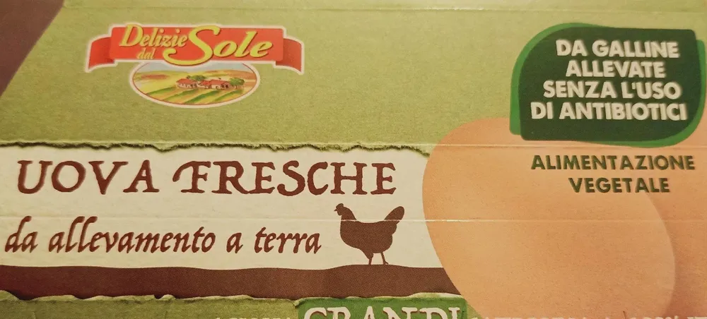 Uova fresche