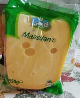 Maasdam