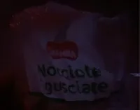 nocciole sgusciate