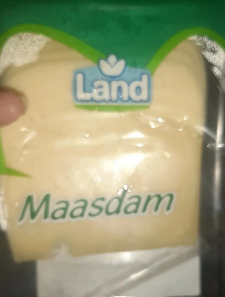 maasdam