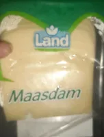 maasdam