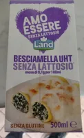 Besciamella senza lattosio