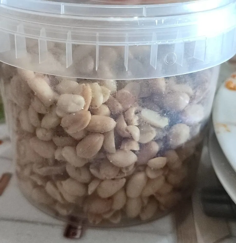 Arachidi tostate salate