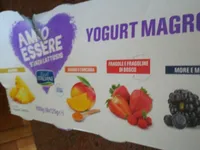 Yogurt 6th