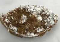 Panforte fichi e noci