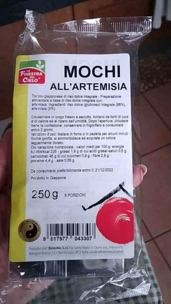 Mochi all'Artemisia