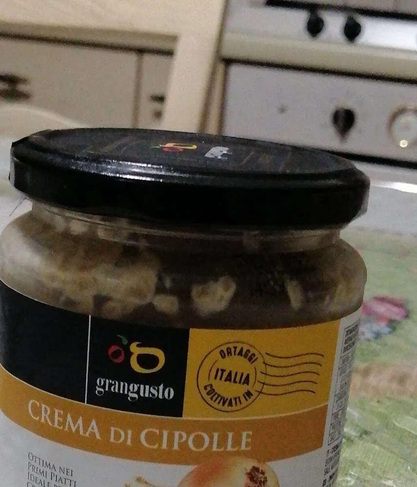 crema di cipolle