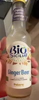 Ginger Beer