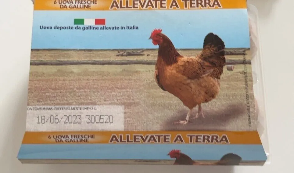 Uova fresche da galline allevate a terra