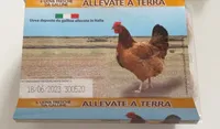 Uova fresche da galline allevate a terra