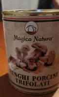 Funghi Porcini Trifolati
