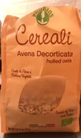Avena decorticata