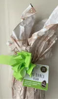 Uovo bianco vegan