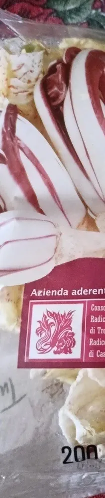 Insalata