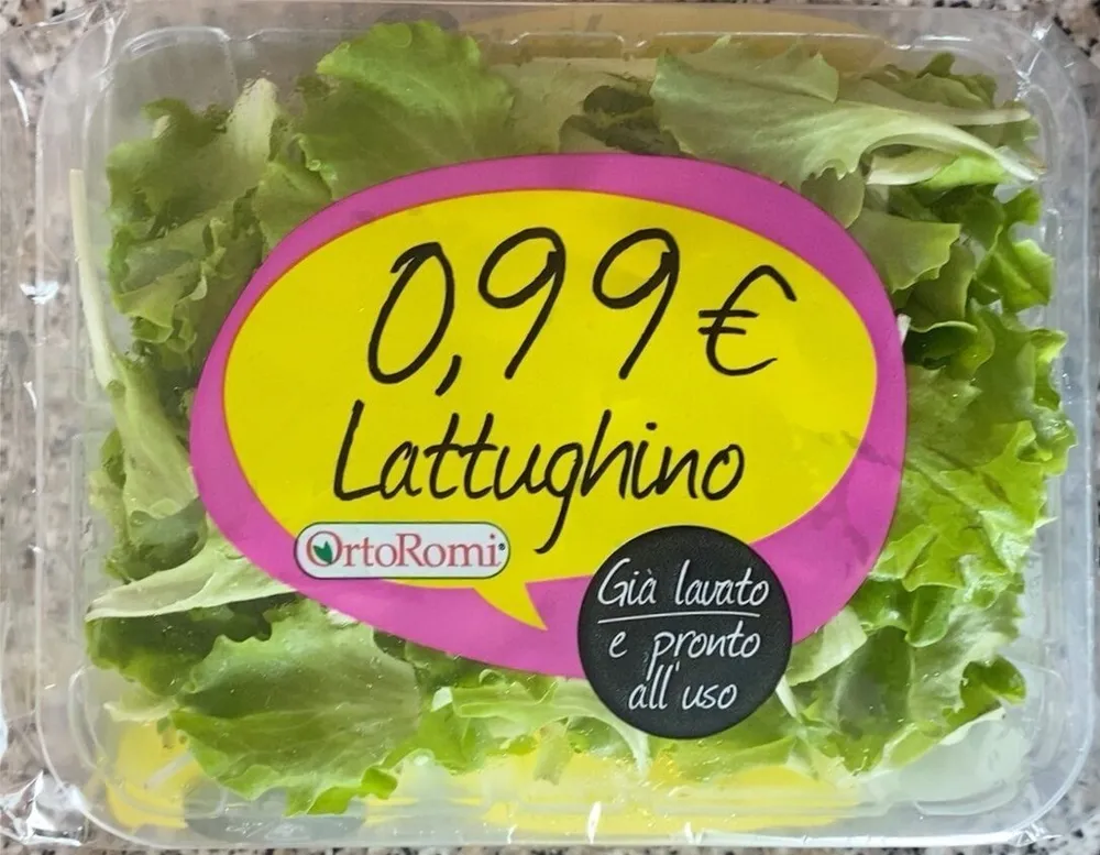 lattughino