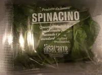 spinacino