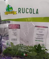 Rucola
