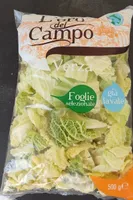 Verza tagliata