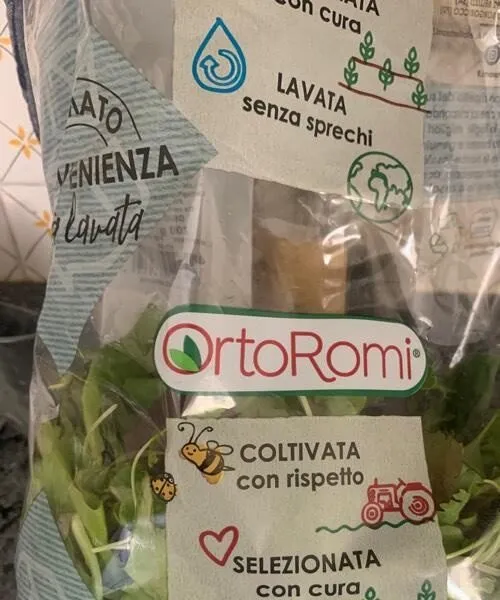 Insalata Misticanza