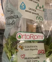 Insalata Misticanza