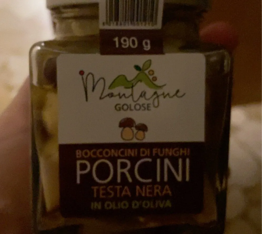 Funghi porcini sott’olio