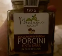 Funghi porcini sott’olio