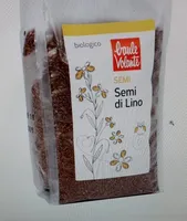 Semi di lino scuro bio