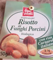 Risotto ai funghi porcini