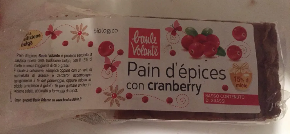 Pain d'épices aux Cranberry