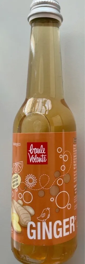 Ginger bibita analcolica gassata biologica