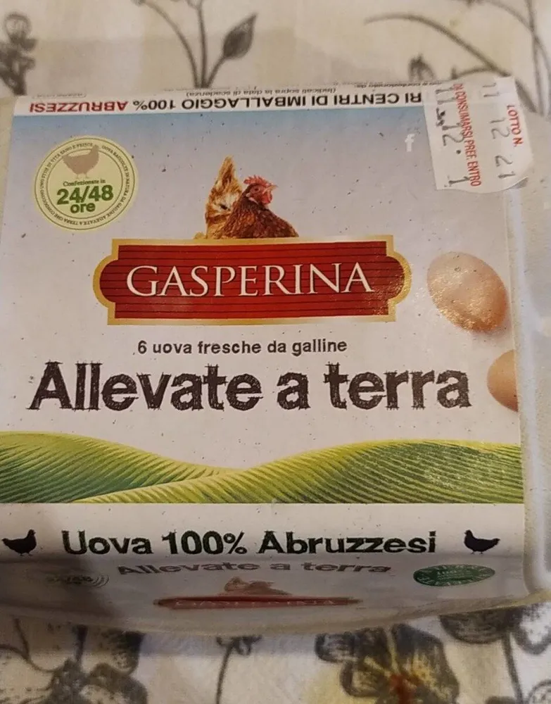 Uova fresche