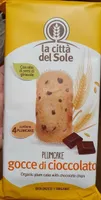 Plumcake gocce di cioccolato