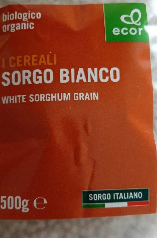 Sorgo bianco