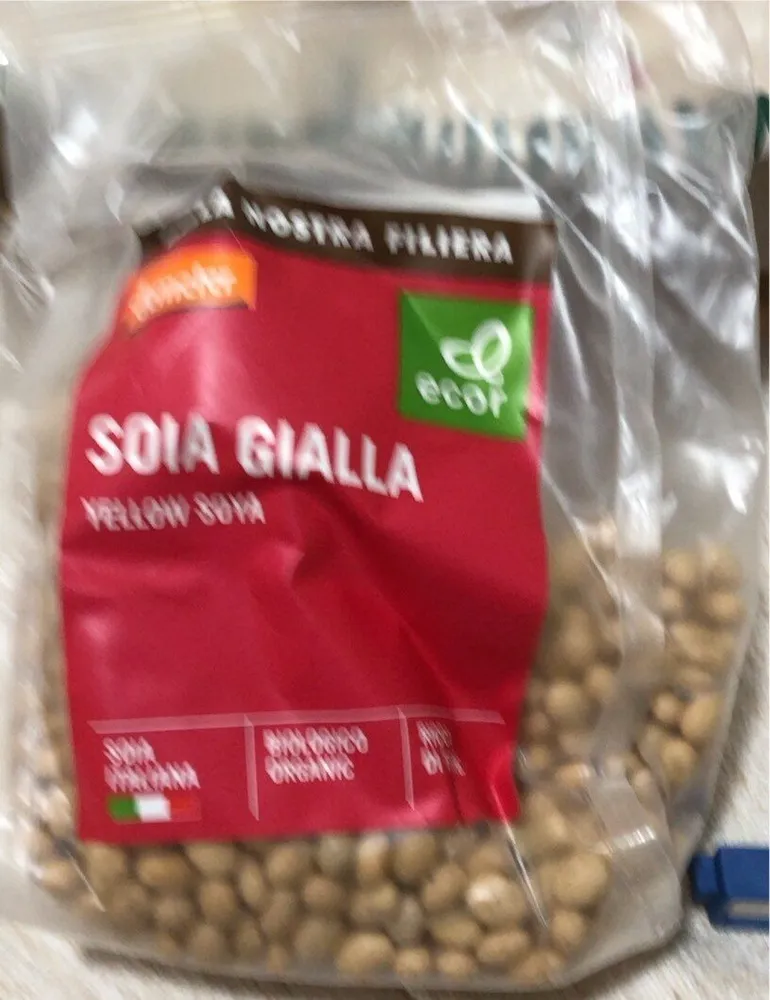 Soia gialla