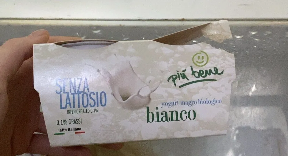 Yougurt magro biologico bianco