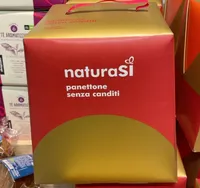 Panettone senza canditi