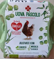 Uova Pascolo
