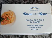 Polpa di riccio