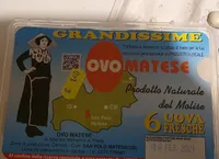 Ovo  Matese