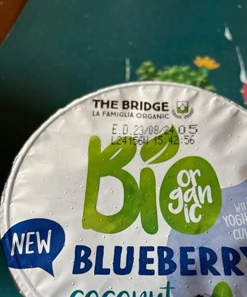 Coconut yogurt