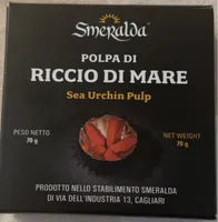 Polpa di riccio di mare
