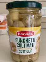 Funghetti coltivati