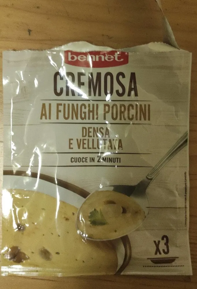 Cremosa ai funghi porcini