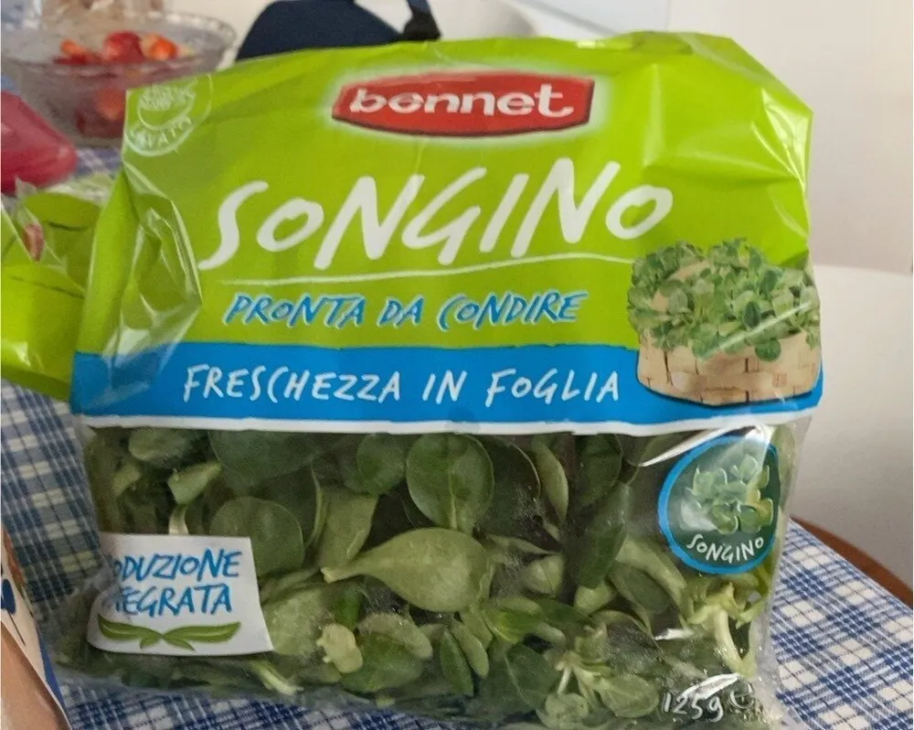 Songino